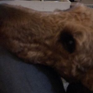 Meet your Posher, Evelyn